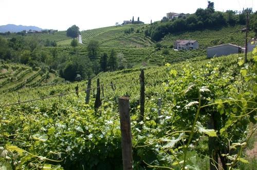 B&B Alla Pergola Valdobbiadene Eksteriør bilde